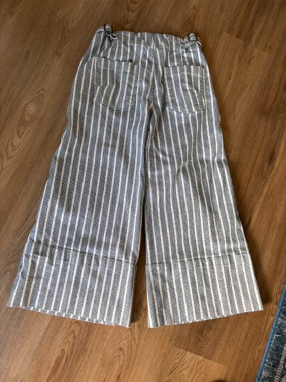 Pilcro by Anthropologie Foxglove Blue Stripe Wide Leg Cropped Pants 26 Waist - Picture 2 of 7